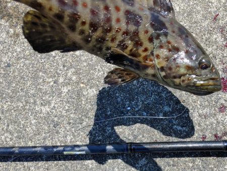 初めて釣った(笑)